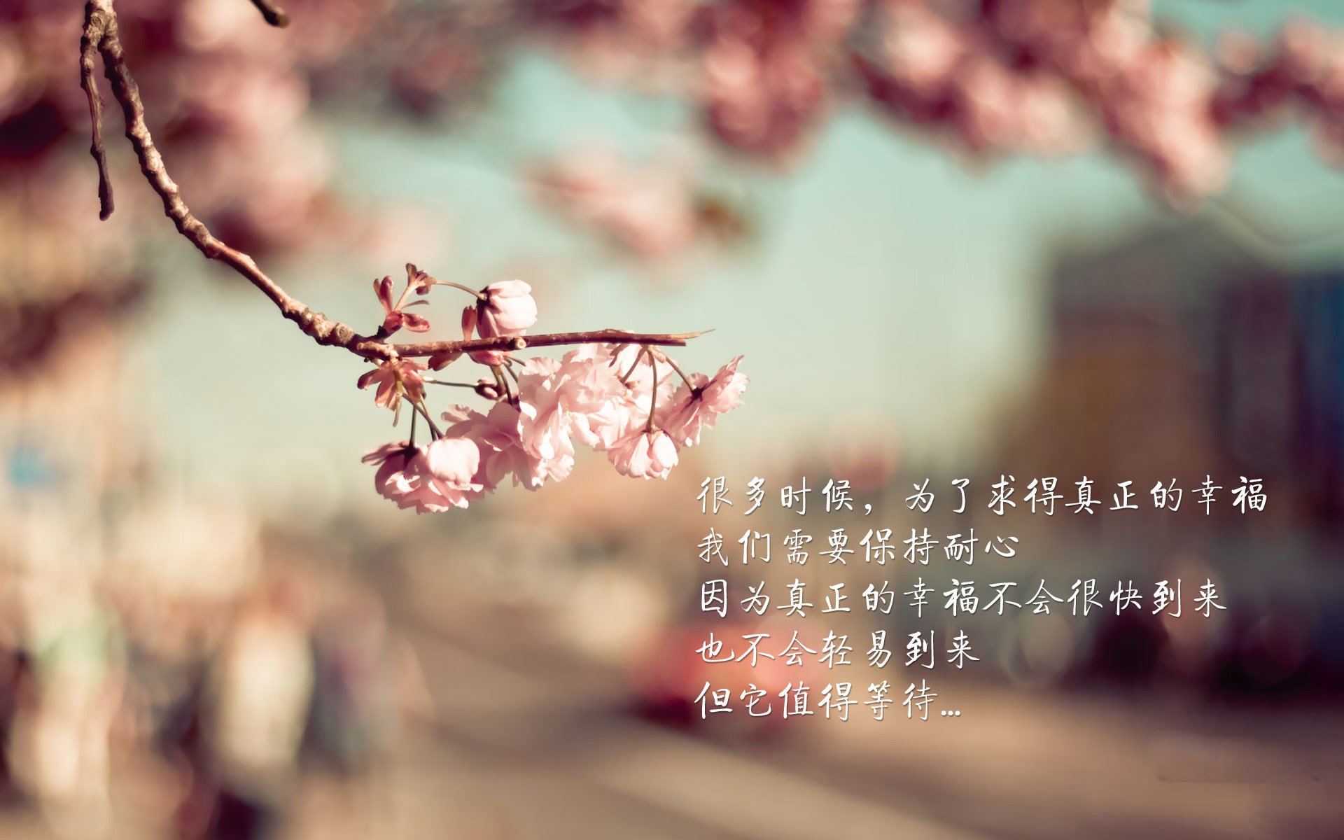 开云体育登录-德甲青年才俊培养路径与职业心态调研，德甲青训排名