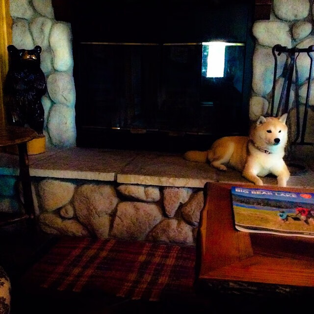 开云体育网站-混合泳中立代表队A选手速度与技巧兼备，混合泳规则