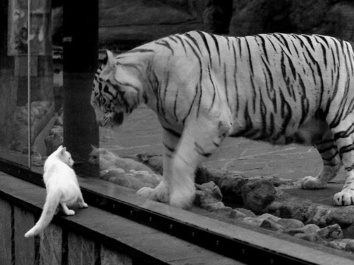 湖人公布月度最佳队内拼搏奖项，湖人最佳战绩